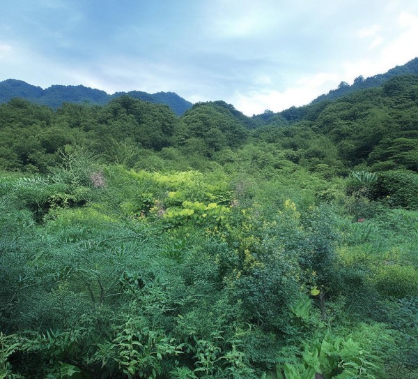 扎根杏花岭区,服务社区民生——太原市杏花岭区康诚商贸服务部纪实