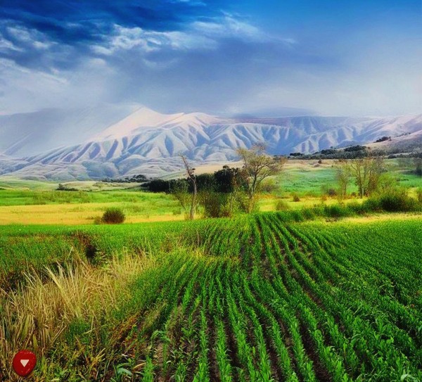 深耕供销事业，助力乡村振兴——沧州市新合作供销商贸有限公司发展纪实